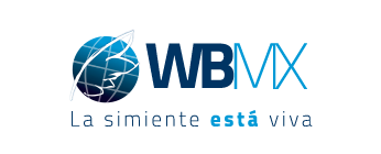 Logo William Branham en México